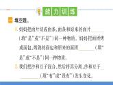 【习题课件】教科版科学三年级上册第1单元8.它们发生了什么变化PPT课件1