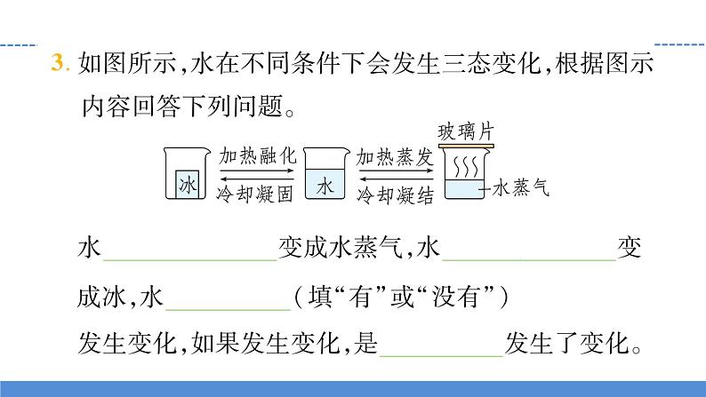 【习题课件】教科版科学三年级上册第1单元8.它们发生了什么变化PPT课件104