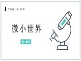 教科版科學(xué)六年級上冊 1-1 放大鏡 課件+視頻