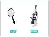 教科版科學(xué)六年級上冊 1-1 放大鏡 課件+視頻