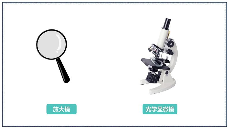 教科版科学六年级上册 1-1 放大镜 课件+视频04