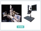 教科版科學(xué)六年級上冊 1-1 放大鏡 課件+視頻