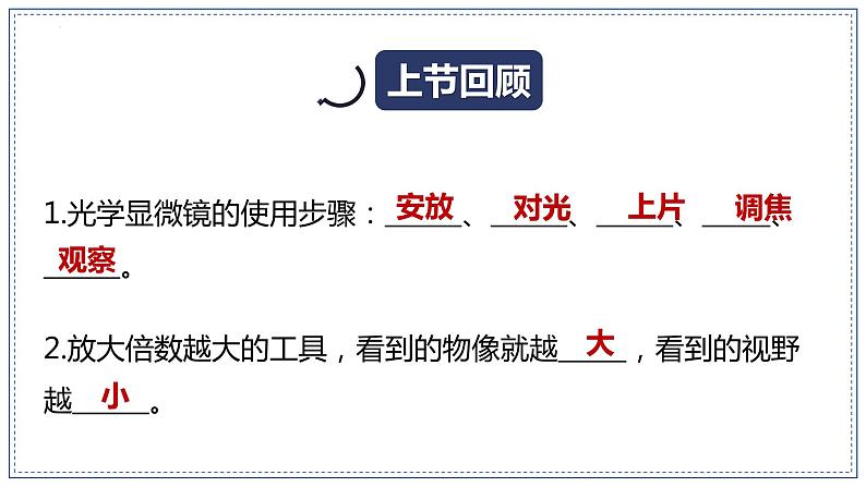 教科版科学六年级上册 1-4 观察洋葱表皮细胞 课件+视频01