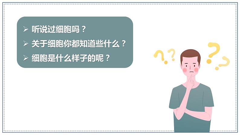 教科版科学六年级上册 1-4 观察洋葱表皮细胞 课件+视频03