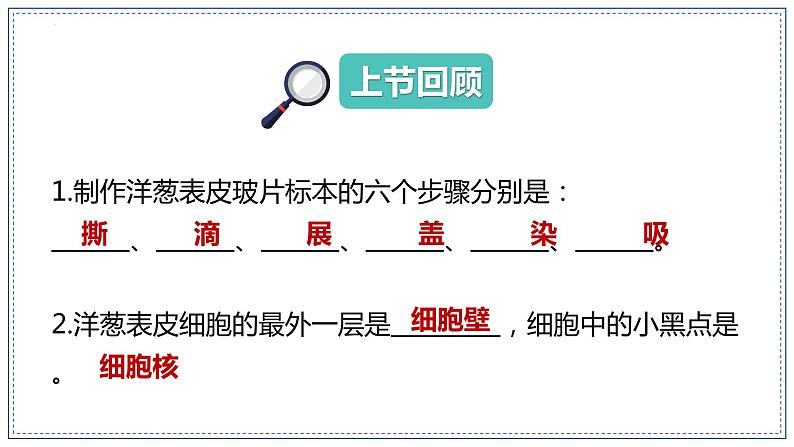 教科版科学六年级上册 1-5 观察更多的生物细胞第1页