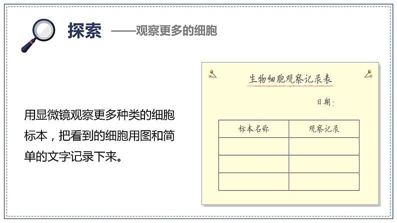 教科版科学六年级上册 1-5 观察更多的生物细胞第4页