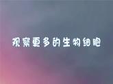 教科版科學(xué)六年級上冊 1-5 觀察更多的生物細(xì)胞 課件+視頻