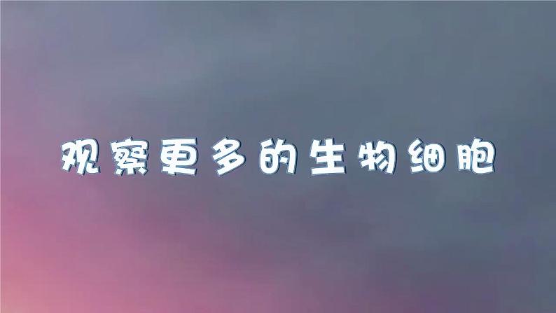 教科版科学六年级上册 1-5 观察更多的生物细胞第5页