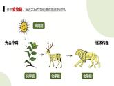 教科版科学六年级上册 4-7 能量从哪里来 课件+视频