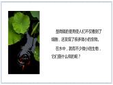 教科版科学六年级上册 1-6 观察水中的微小生物 课件+视频