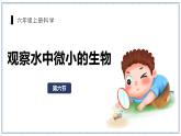 教科版科学六年级上册 1-6 观察水中的微小生物 课件+视频