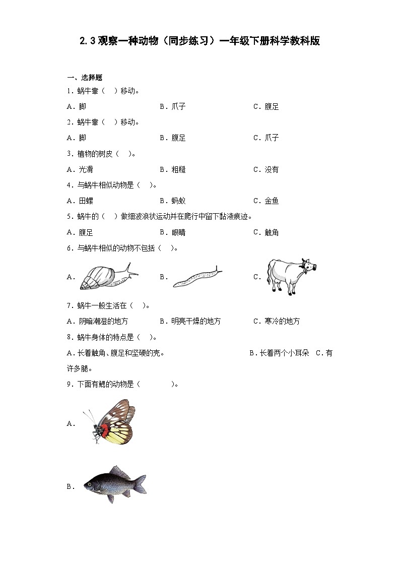 教科版（2017）科学一年级下册： 3. 观察一种动物 同步练习（含答案）第1页