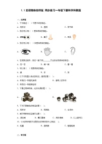 科学一年级下册1.发现物体的特征优秀随堂练习题