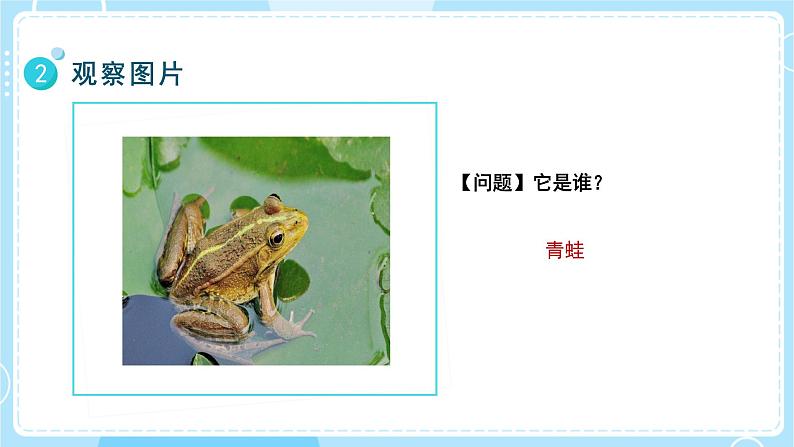 【教科版】一上科学  1.5 植物是“活”的吗 课件 第6页