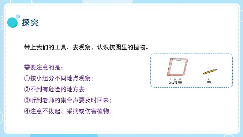 【教科版】一上科学  第1单元第6课-校园里的植物  (课件+素材）06