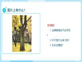 【教科版】一上科學(xué)  第1單元第1課-我們知道的植物  (課件+素材）