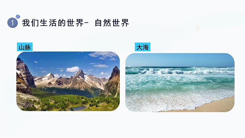 【教科版】二上科学  第2单元第1课-我们生活的世界（课件+素材）07