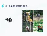【教科版】二上科學(xué)  第1單元第1課-地球家園中有什么（課件+素材）