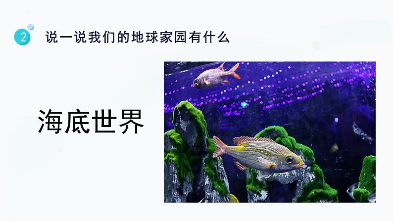 【教科版】二上科学  第1单元第1课-地球家园中有什么（课件+素材）07