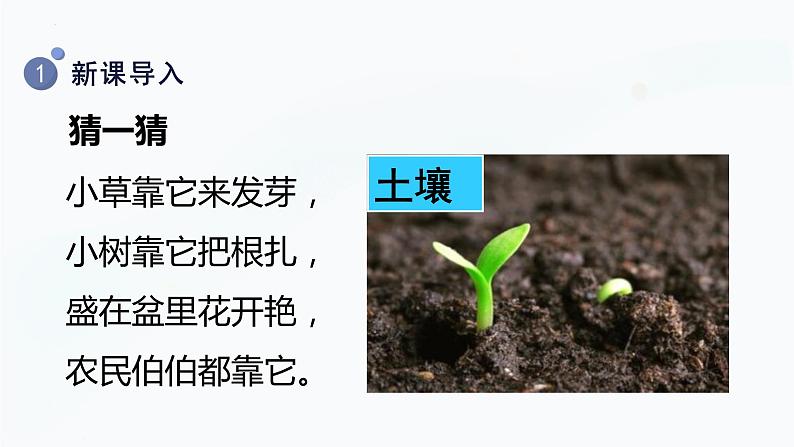 【教科版】二上科学  第1单元第2课-土壤——动植物的乐园（课件+素材）04