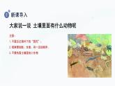 【教科版】二上科学  第1单元第2课-土壤——动植物的乐园（课件+素材）