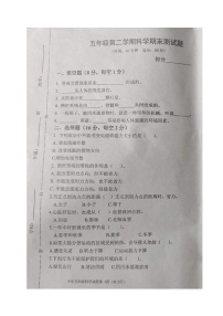 山东省东营市河口区2022-2023学年五年级下学期期末考试科学试题