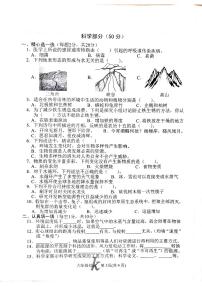 河南省南阳市西峡县2022-2023学年六年级下学期6月期末科学试题