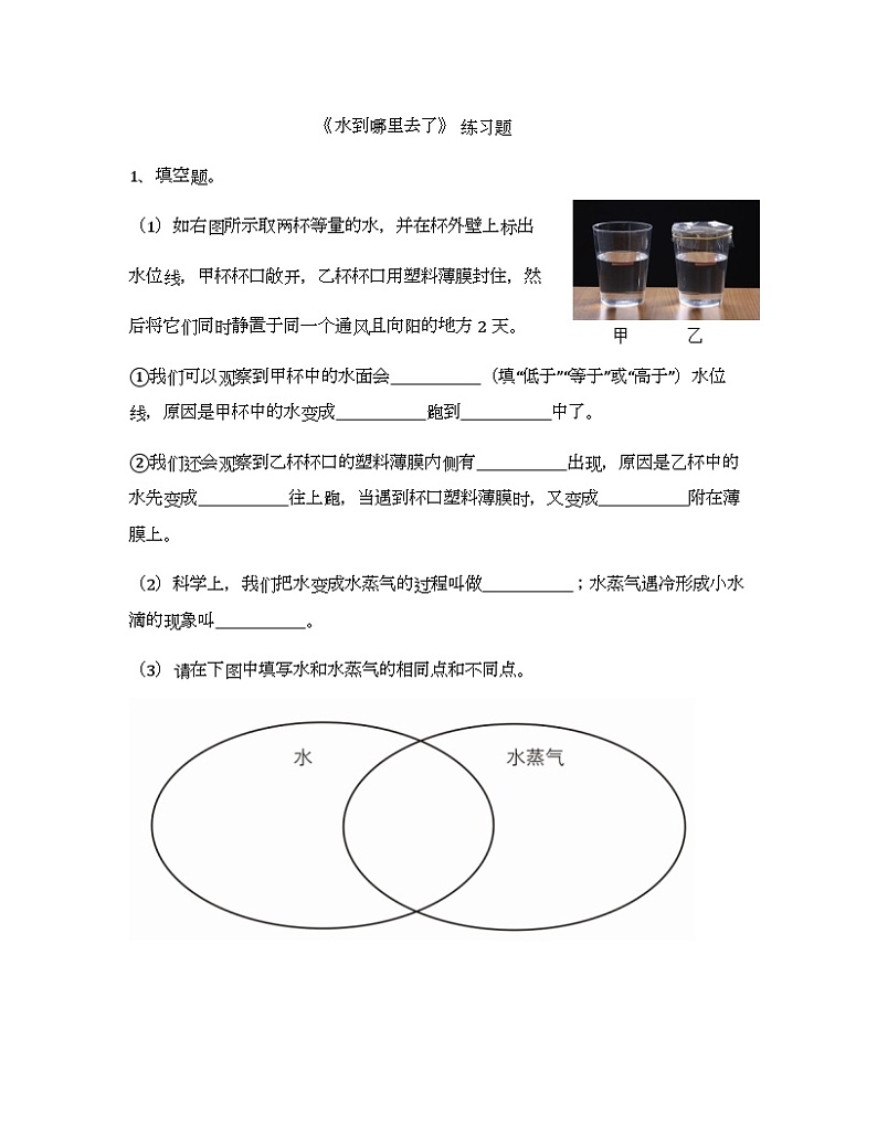 1.1《水到哪里去了》练习 新教科版科学三上01