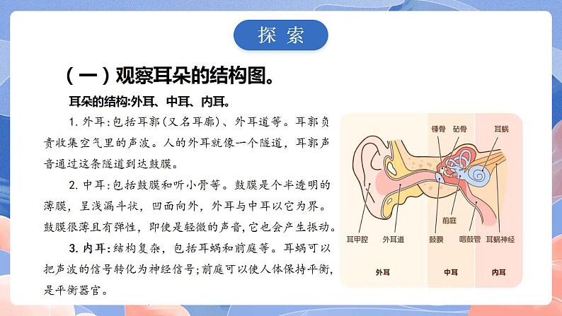 【核心素养目标】教科版小学科学四年级上册1.4《我们是怎样听到声音的 》  课件+教案(含教学反思)04
