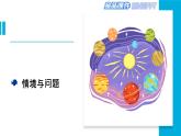 新冀人版科學(xué)六年級(jí)下冊(cè)-11太陽(yáng)系--金品課件KINGPPT