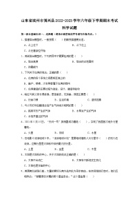 山东省滨州市博兴县2022-2023学年六年级下学期期末考试科学试题（word版含答案解析）