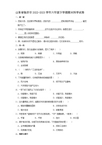 山东省临沂市2022-2023学年六年级下学期期末科学试卷（文字版含答案解析）