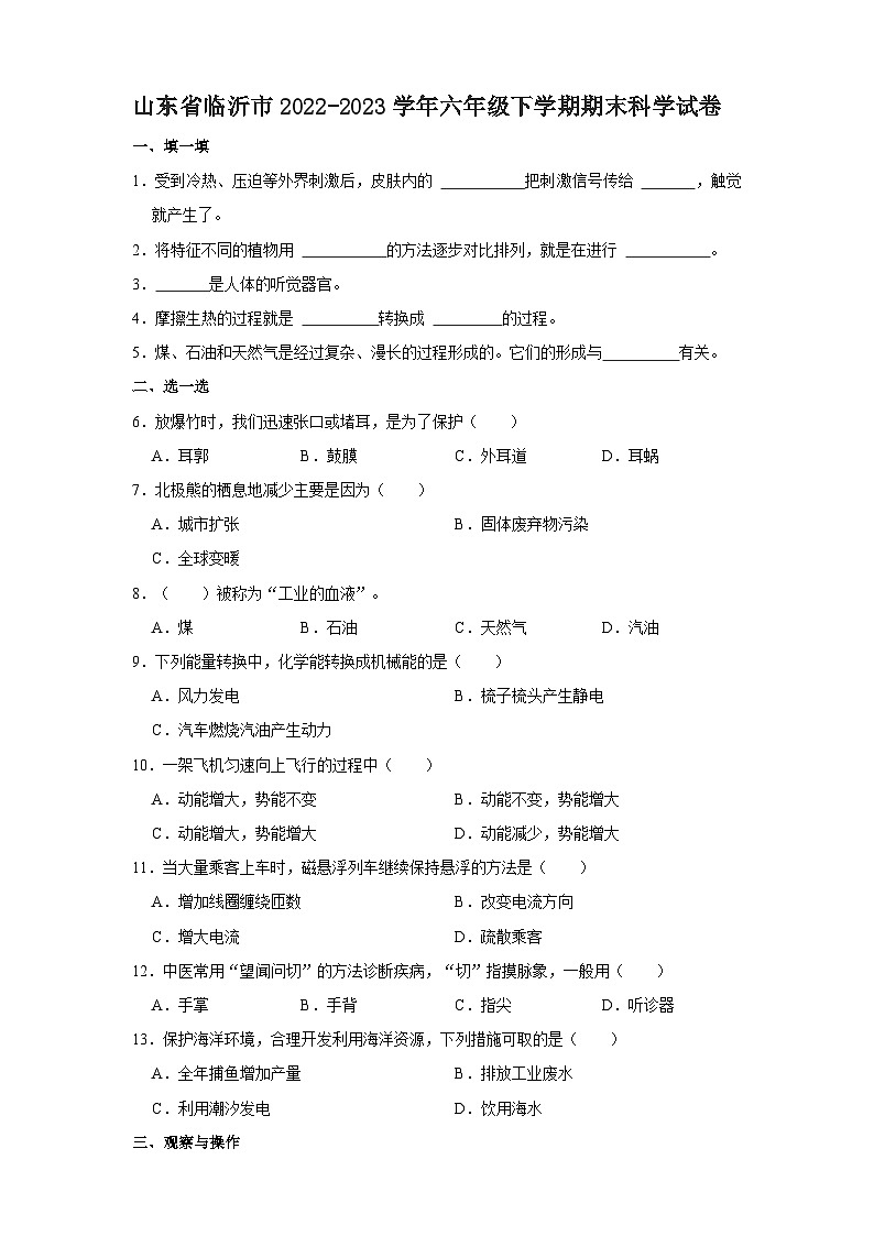 山东省临沂市2022-2023学年六年级下学期期末科学试卷（文字版含答案解析）01