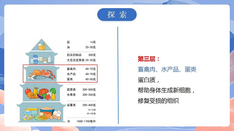 【核心素养目标】教科版小学科学四年级上册2.6《营养要均衡》 课件+教案(含教学反思)06