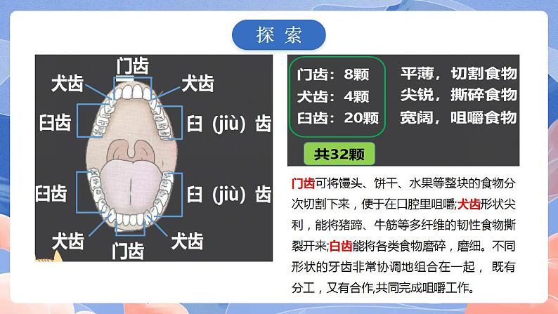 【核心素养目标】教科版小学科学四年级上册2.7《食物在口腔里的变化》 课件+教案(含教学反思)08