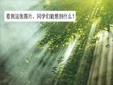 教科版科学五年级上册一 光 第1课 有关光的思考课件+教案+素材