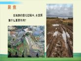 教科版科学五年级上册二 地球表面的变化 第6课 水的作用课件+教案+素材