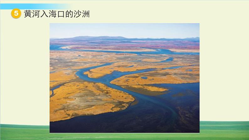 教科版科学五年级上册第7课 总结我们的认识课件第7页