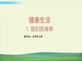 教科版科学五年级上册四 健康生活 第1课 我们的身体课件+教案+素材