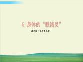 教科版科学五年级上册四 健康生活 第5课 身体的“联络员”课件+教案+素材