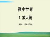 教科版科学六年级上册一 微小世界 第1课 放大镜课件+教案+素材