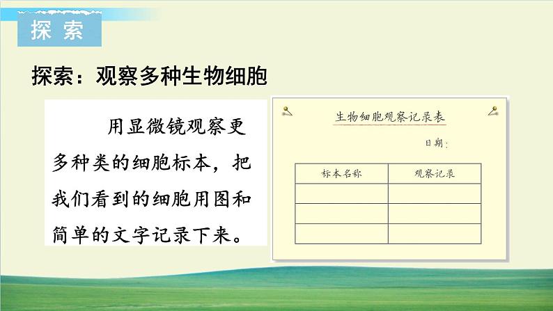 教科版科学六年级上册一 微小世界 第5课 观察更多的生物细胞课件+教案+素材04