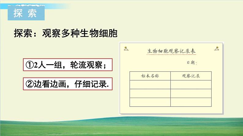 教科版科学六年级上册一 微小世界 第5课 观察更多的生物细胞课件+教案+素材05