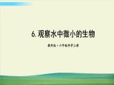教科版科学六年级上册一 微小世界 第6课 观察水中微小得生物课件+教案+素材
