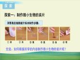 教科版科学六年级上册一 微小世界 第6课 观察水中微小得生物课件+教案+素材