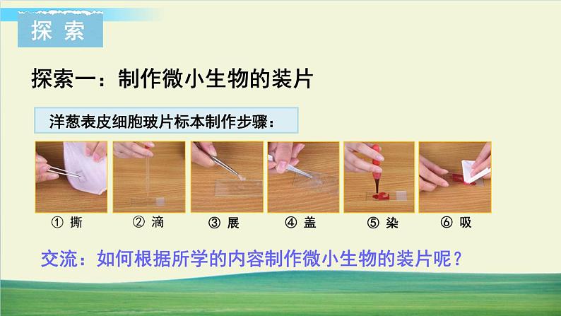 教科版科学六年级上册一 微小世界 第6课 观察水中微小得生物课件+教案+素材03
