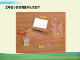 教科版科学六年级上册一 微小世界 第6课 观察水中微小得生物课件+教案+素材