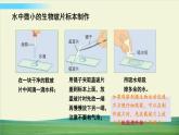 教科版科学六年级上册一 微小世界 第6课 观察水中微小得生物课件+教案+素材