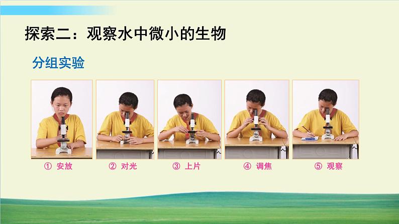 教科版科学六年级上册一 微小世界 第6课 观察水中微小得生物课件+教案+素材07