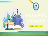 教科版科学六年级上册二 地球的运动 第7课 昼夜和四季变化对生物的影响课件+教案+素材